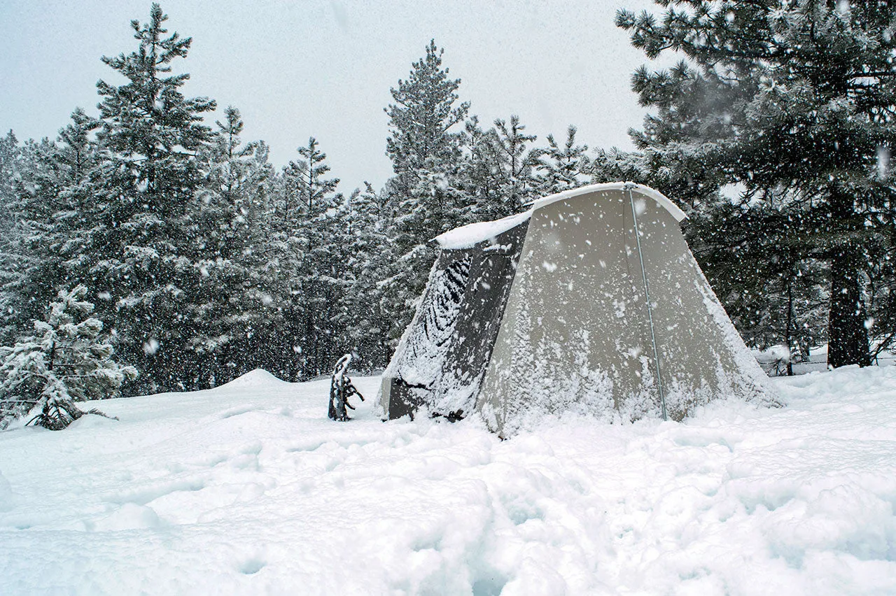 10 x 10 ft. Flex-Bow Basic Canvas Camping Tent