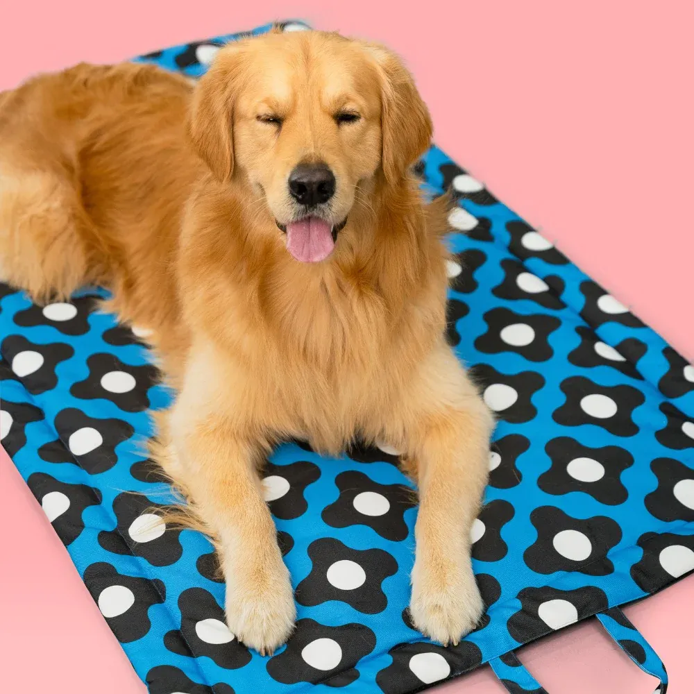 Pet Set Go Bliss Mat for Dogs and Cats (Blue)