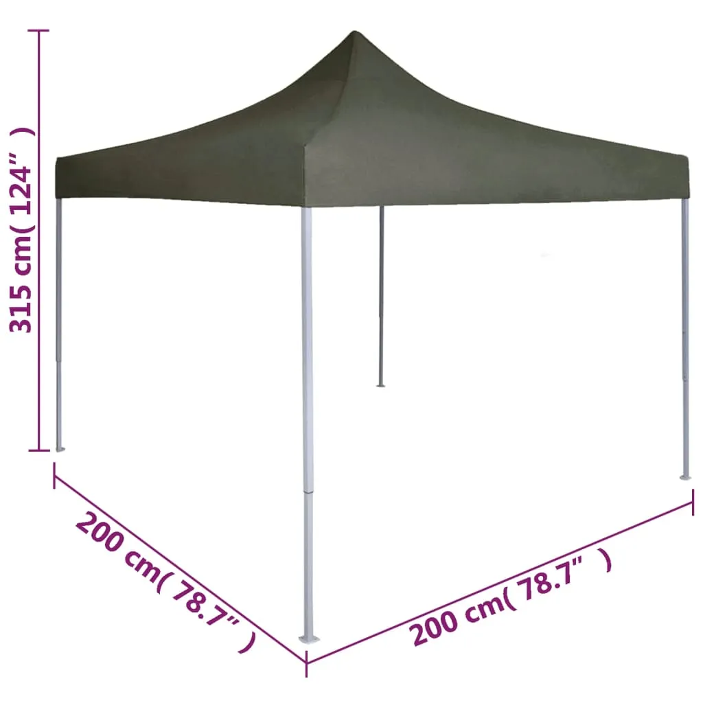 Professional Folding Party Tent 2x2 m Steel Anthracite